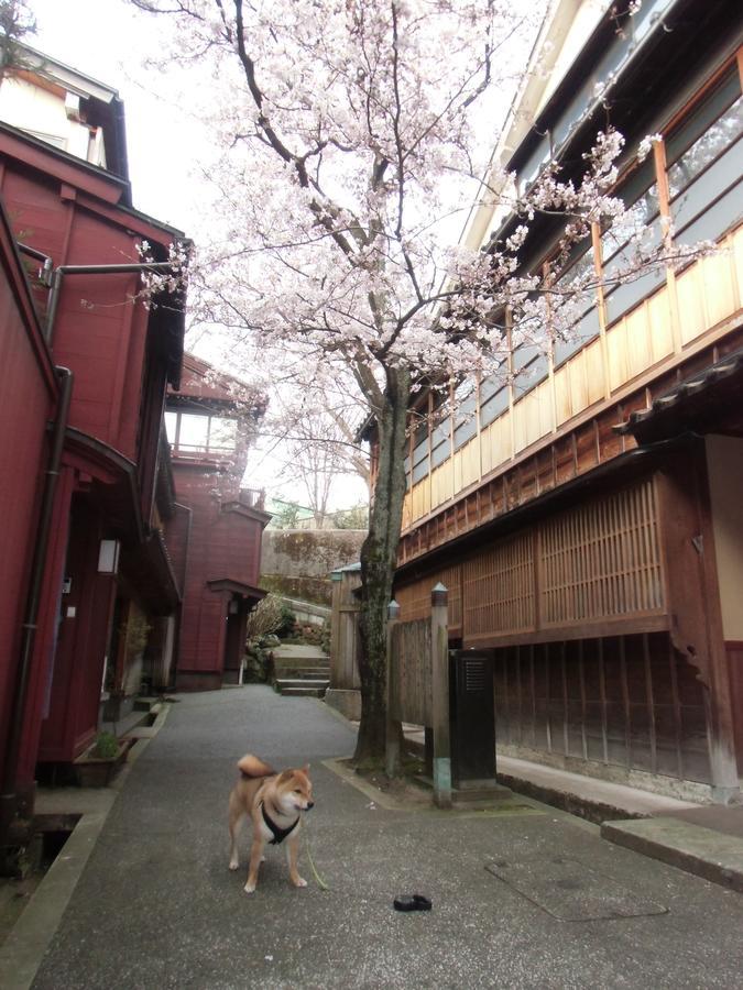Kanazawa Share House Gaooo Exteriér fotografie