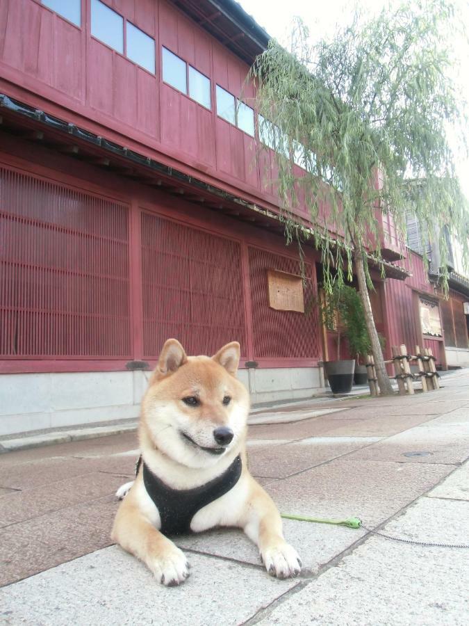Kanazawa Share House Gaooo Exteriér fotografie
